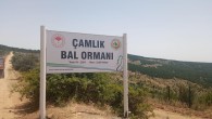 Çamlık Bal Ormanında yeni adımlar atıldı