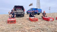 Yozgat’ta doğaya keklik salımı yapıldı