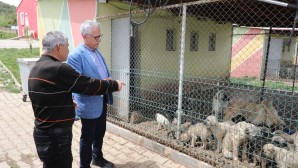 ‘EVCİL KÖY’ Projesi hayata geçiyor